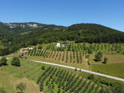Kljajevica Orchard in Pljevlja, Montenegro