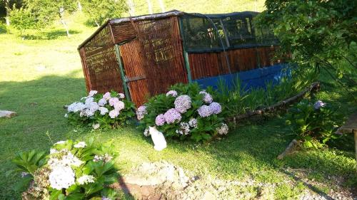 Kitnet em meio à mata Atlântica in Juquitiba, Brasil