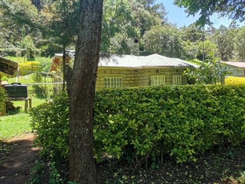 Ecovale Kijabe — Kijabe — photo 4