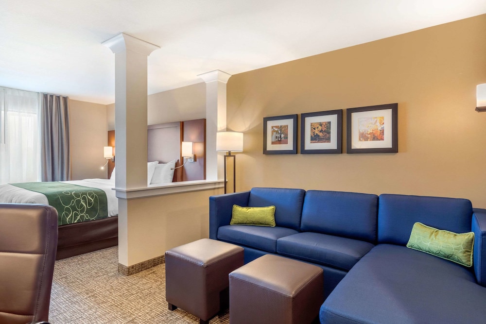 Comfort Inn & Suites Schenectady Scotia - photo 26