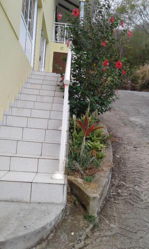 Soleil Des Caraïbes in Pointe-Noire, Guadeloupe