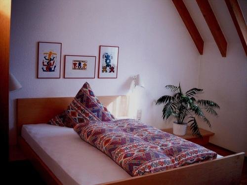 Fritz’es Goldener Stern — Niedenstein — photo 5