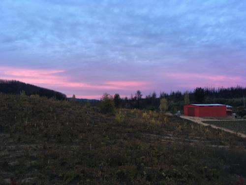 Viña Don Heraldo — Cauquenes — photo 4