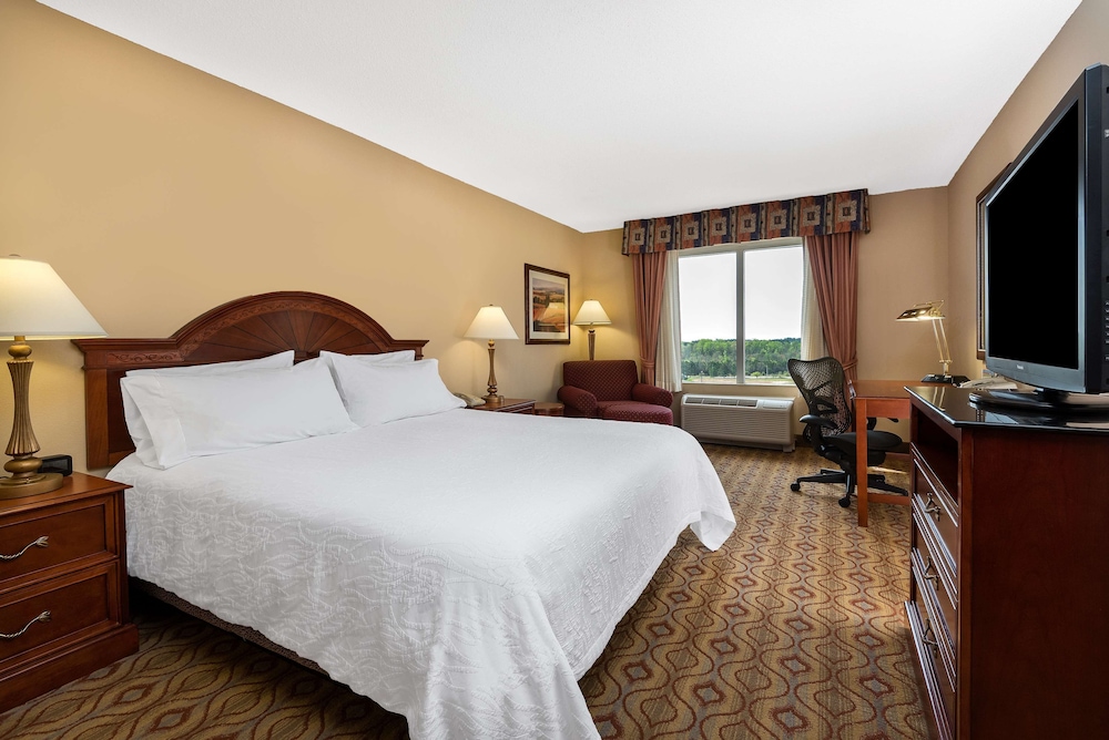 Hilton Garden Inn Florence - photo 9