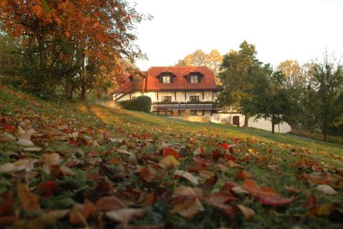 Penzion Dvůr — 4-Star Luxury Hotel in Lhenice, Czech Republic