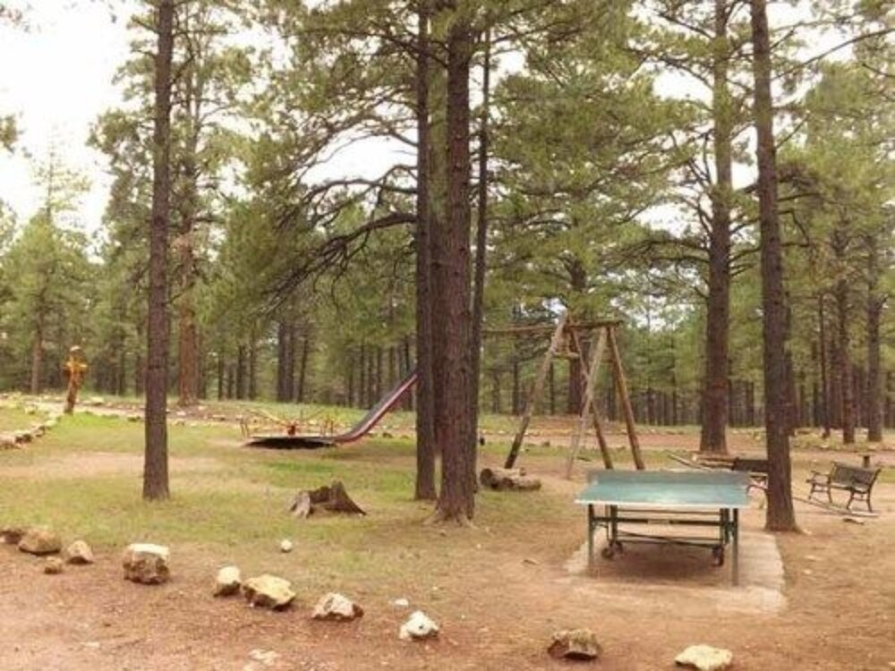 Arizona Mountain Inn and Cabins - photo 305