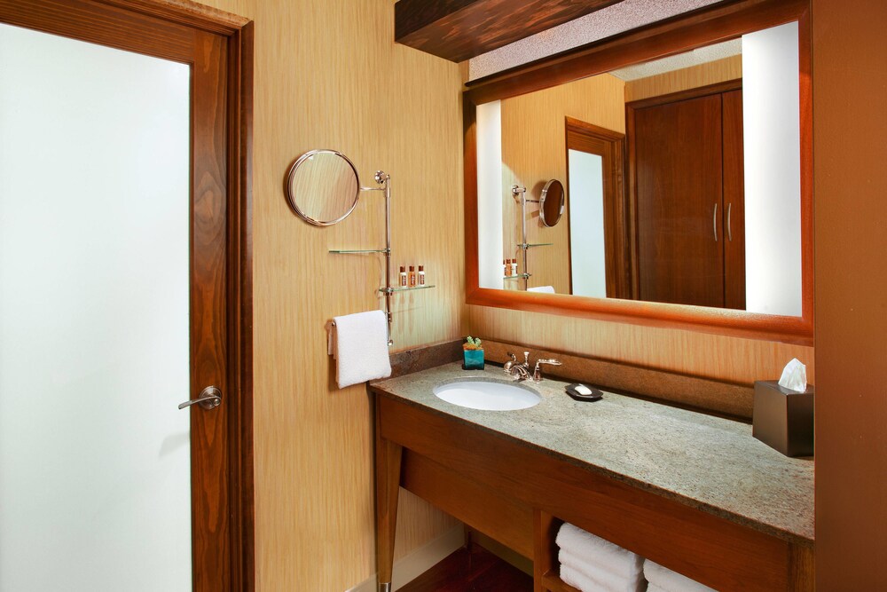 Sheraton Albuquerque Airport Hotel - photo 14