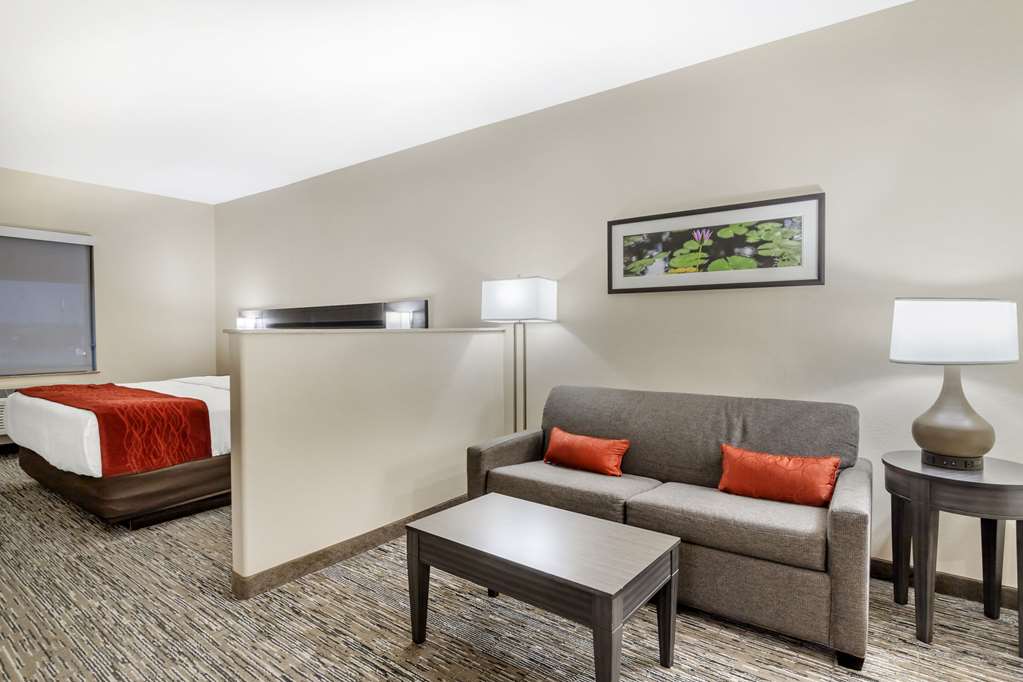 Comfort Inn Orange I 10 - photo 23