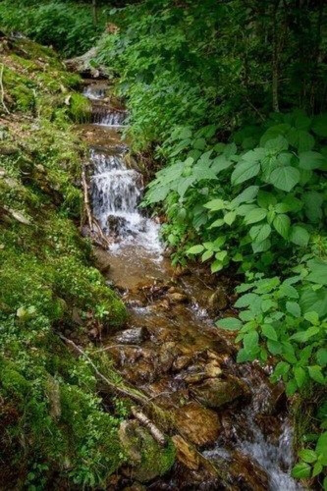 Bald Mountain House Inn at the Wolf Laurel Resort - photo 50