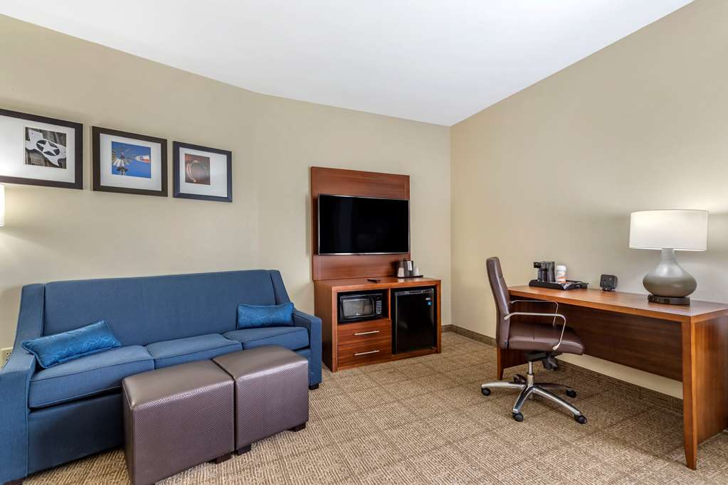 Comfort Suites Buda Austin South - photo 13