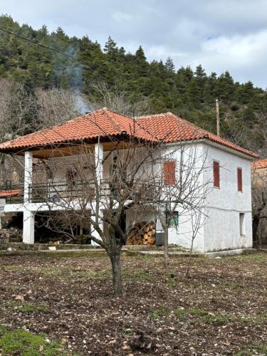 To Xylino - last minute hotel in Unknown City