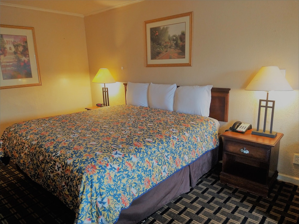 Grand View Plaza Inn & Suites - photo 56