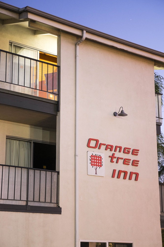 Orange Tree Inn - photo 35