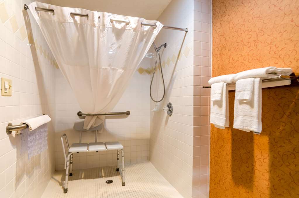 Quality Inn Eureka Springs South - photo 35