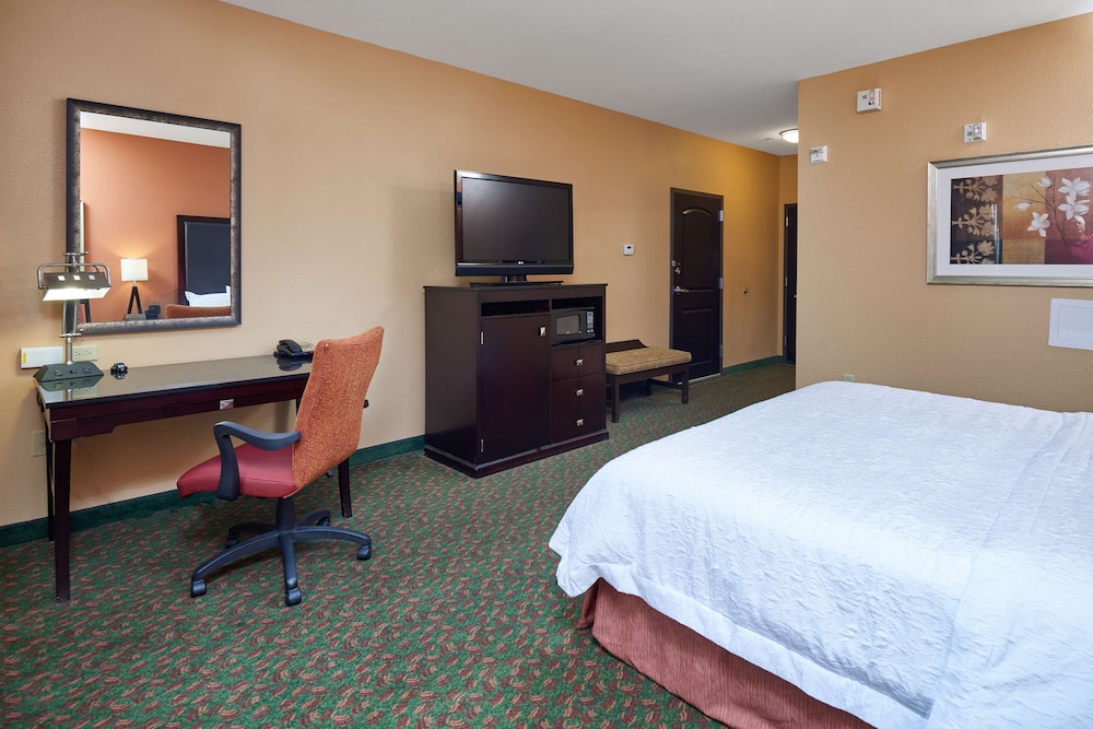 Hampton Inn & Suites Waco South - photo 26