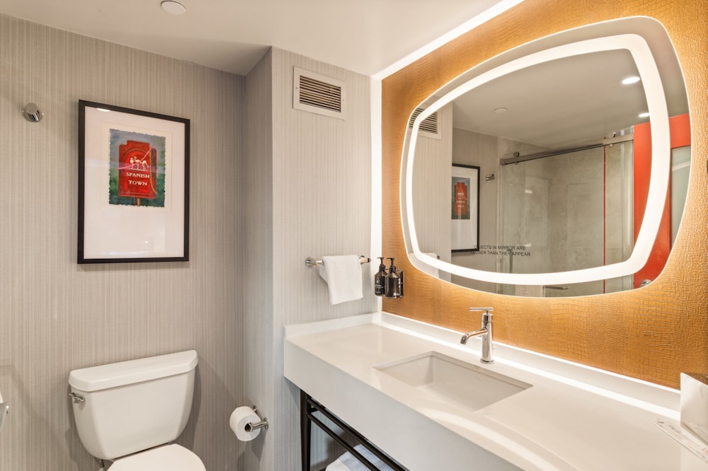 Hotel Indigo Baton Rouge Downtown by IHG - photo 79