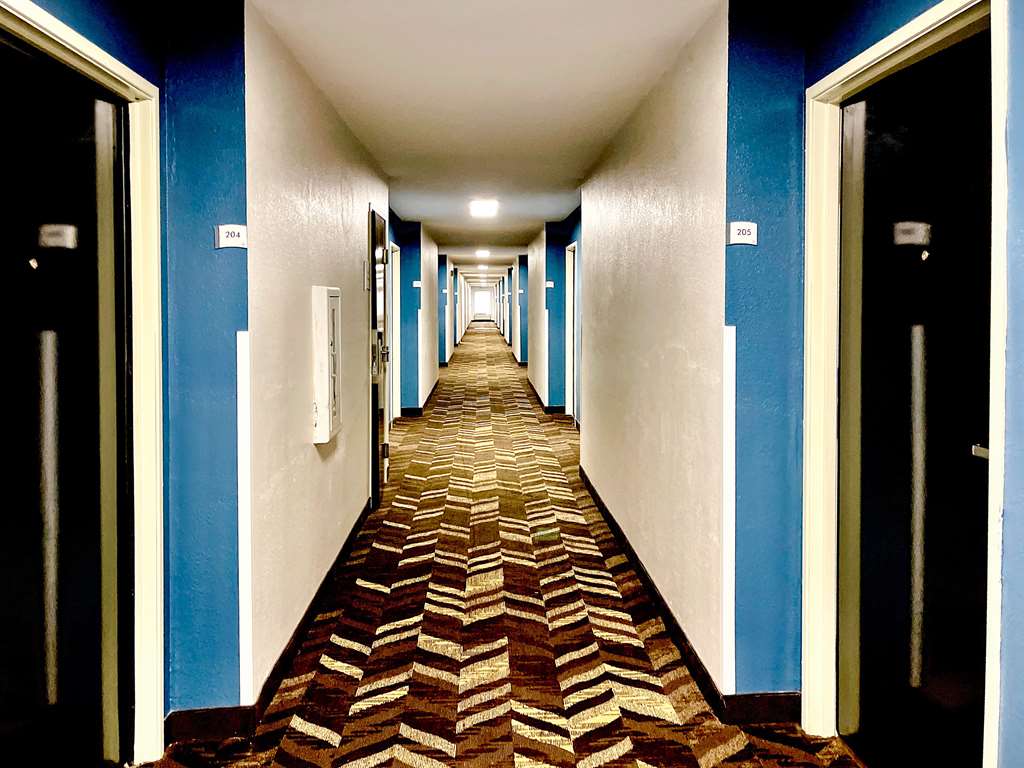 Quality Inn & Suites Clemmons I 40 - photo 4