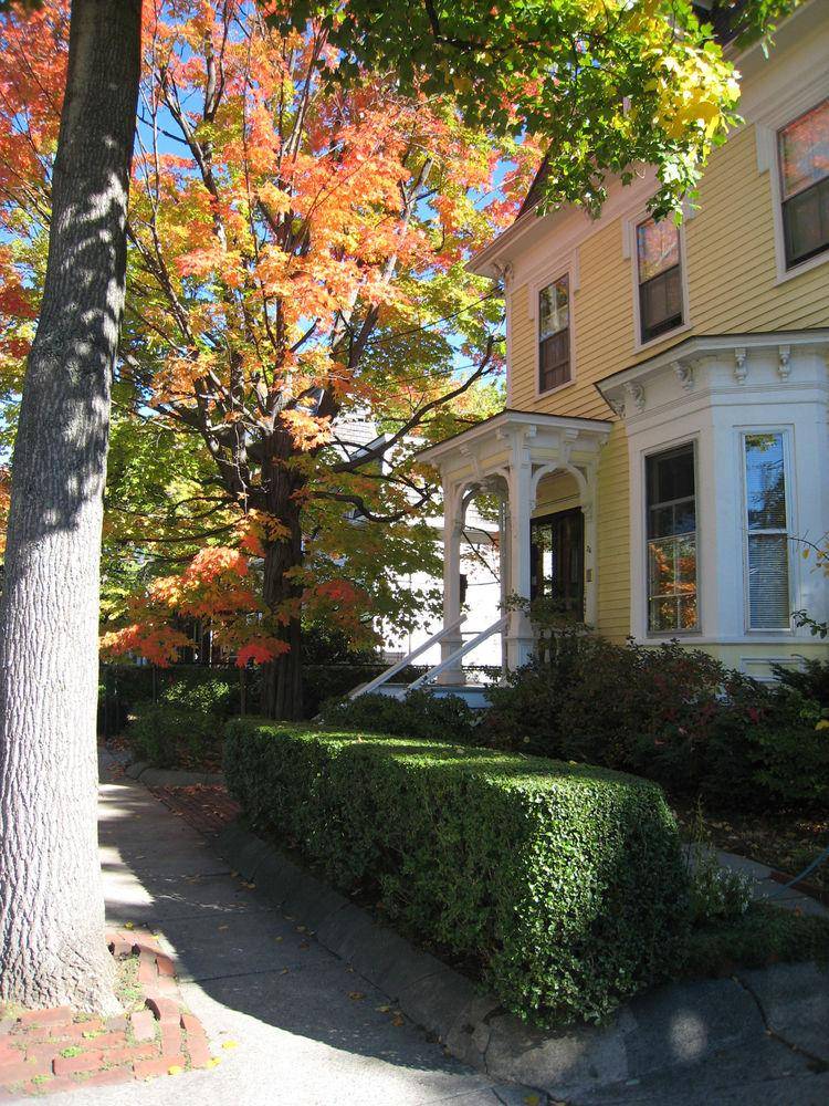 Parkside on Ellery - photo 3