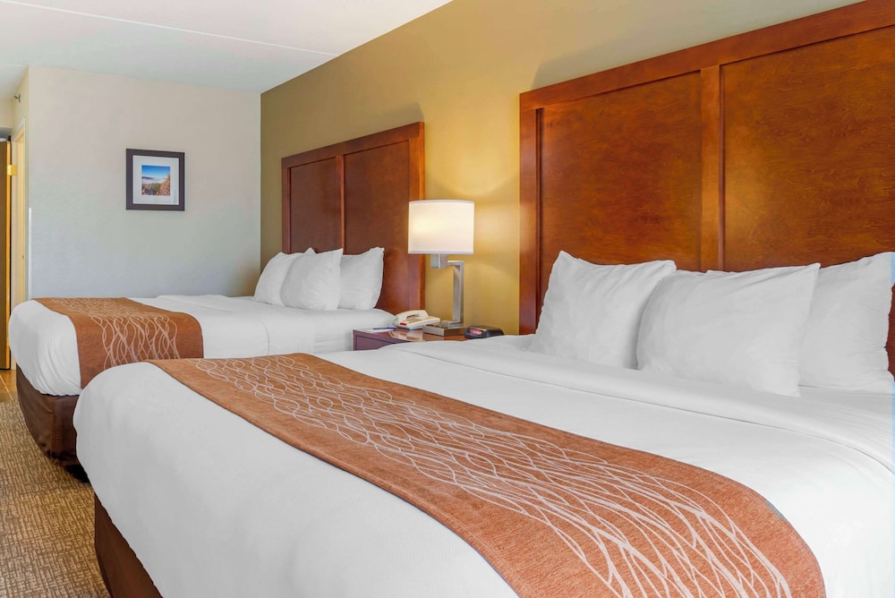 Comfort Inn & Suites Wilkes Barre Arena - photo 30