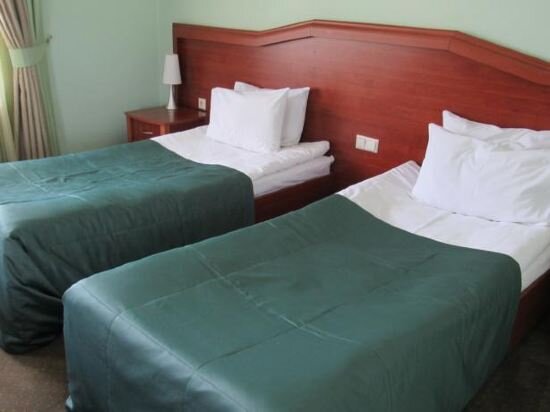 Hotel Vedzisi