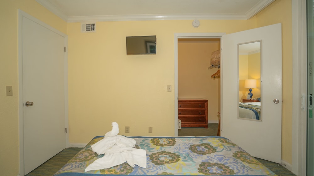 Blue Tree Resort at Lake Buena Vista - photo 7