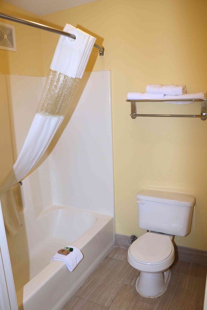 Loyalty Inn Hawkinsville - photo 17