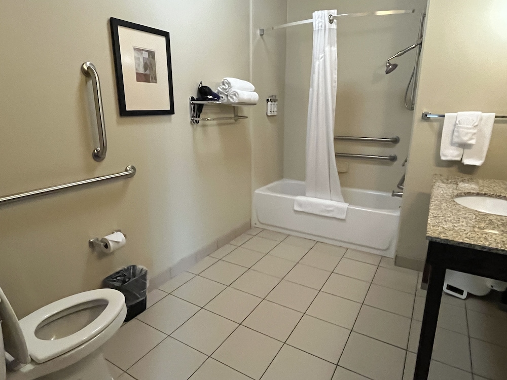 Holiday Inn Express Hotel and Suites Deming Mimbres Valley - photo 14