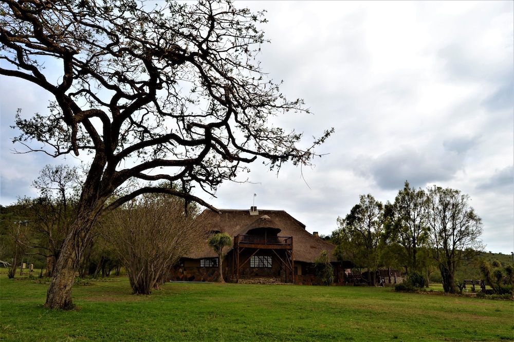 Amaka Private Game Reserve and Safaris in Ladysmith, South Africa