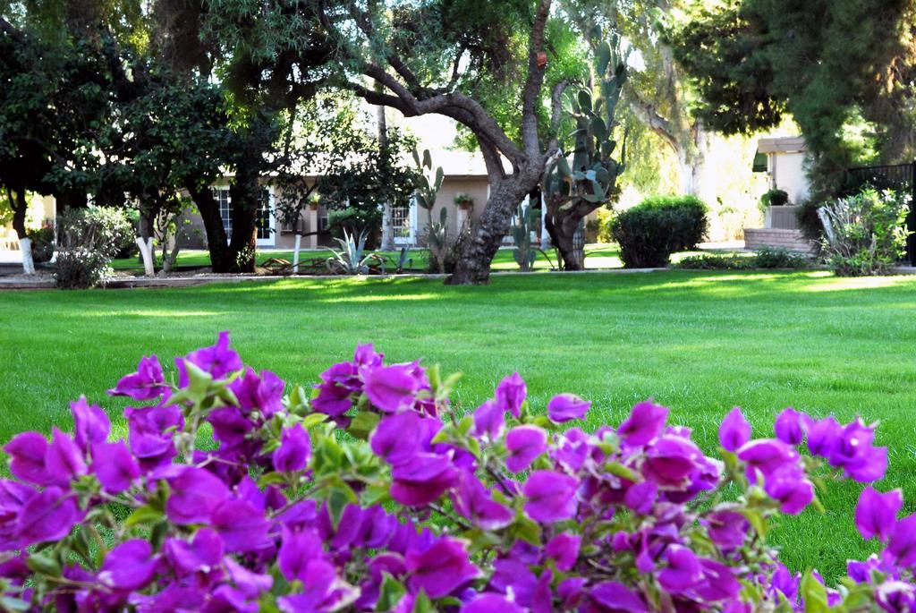 SmokeTree Resort and Bungalows - photo 3