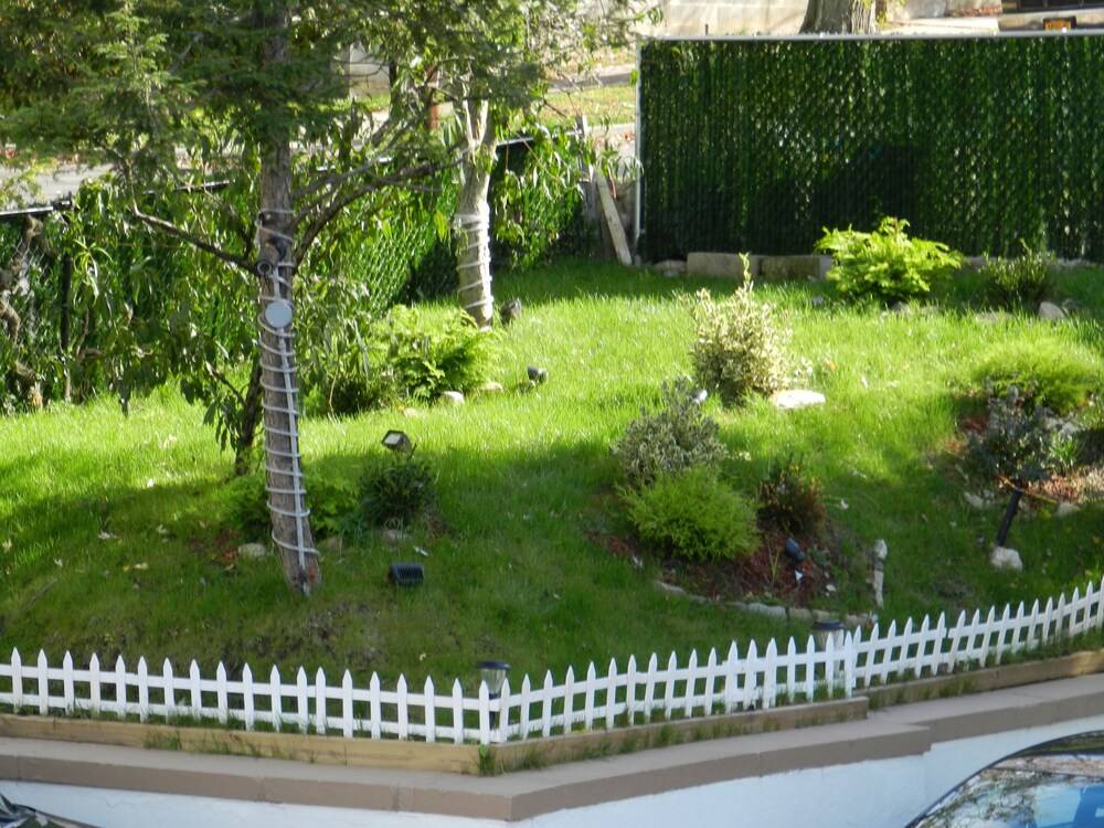 Central Motel Court Yard - photo 123