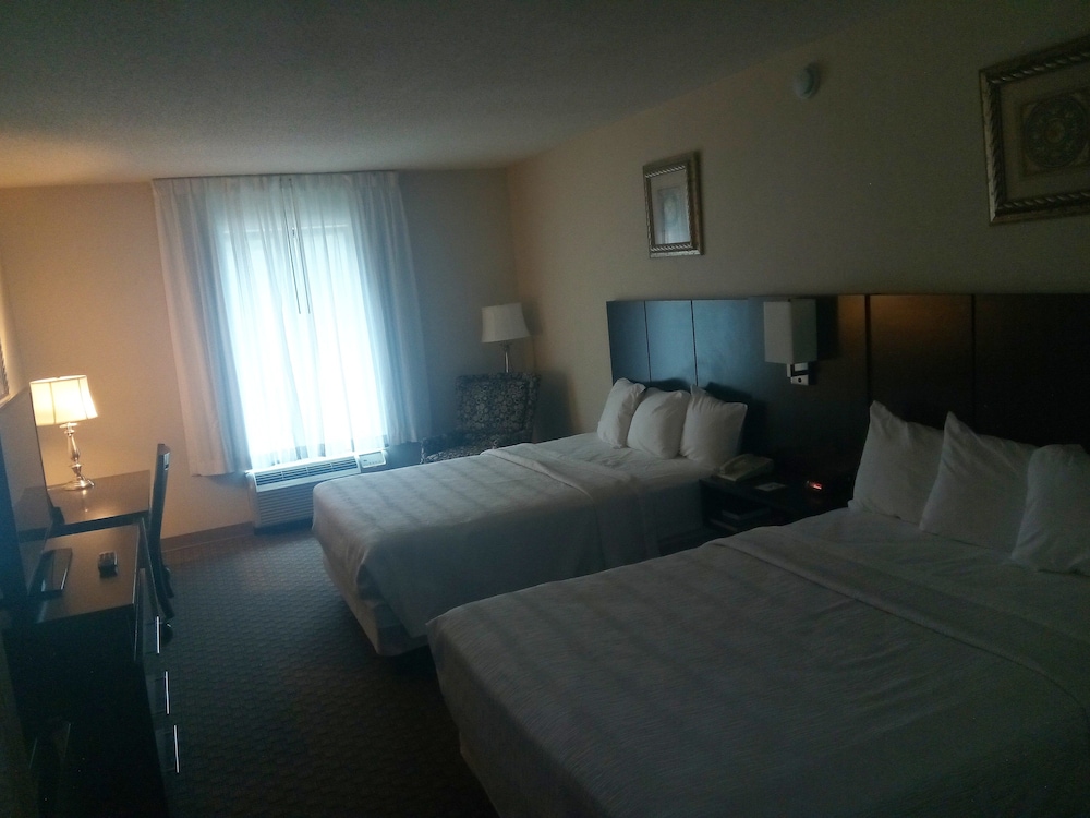 Gold Vault Inn - photo 9