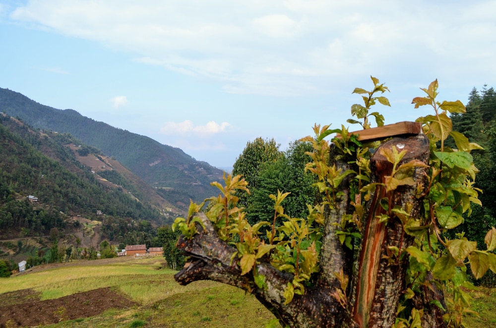 Retreat at Damaar — Panauti — photo 3