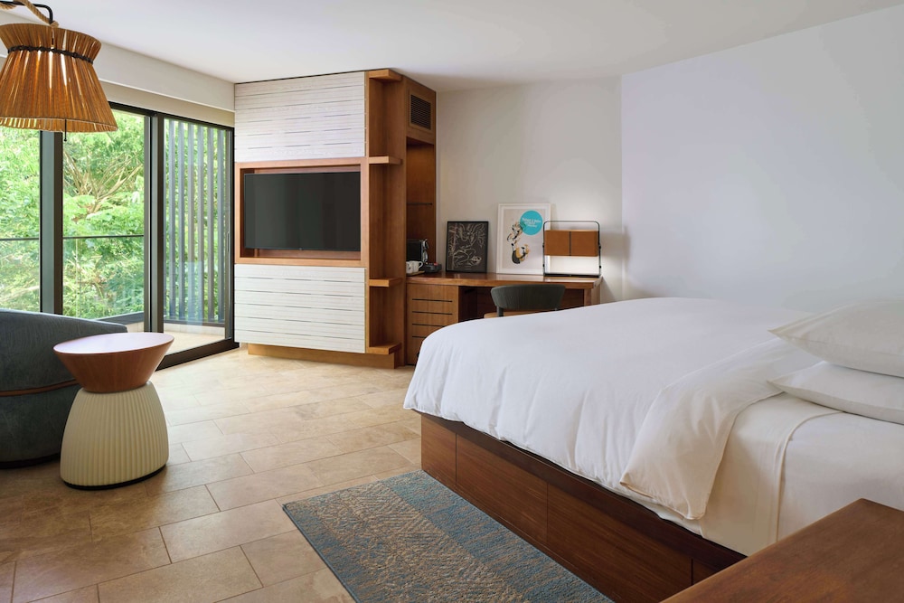 Andaz Maui at Wailea Resort a concept by Hyatt - photo 53
