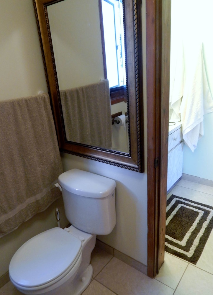 Fern Forest Getaway - photo 22