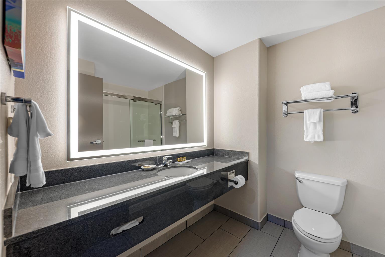 Best Western Plus Killeen Fort Cavazos Hotel & Suites - photo 29