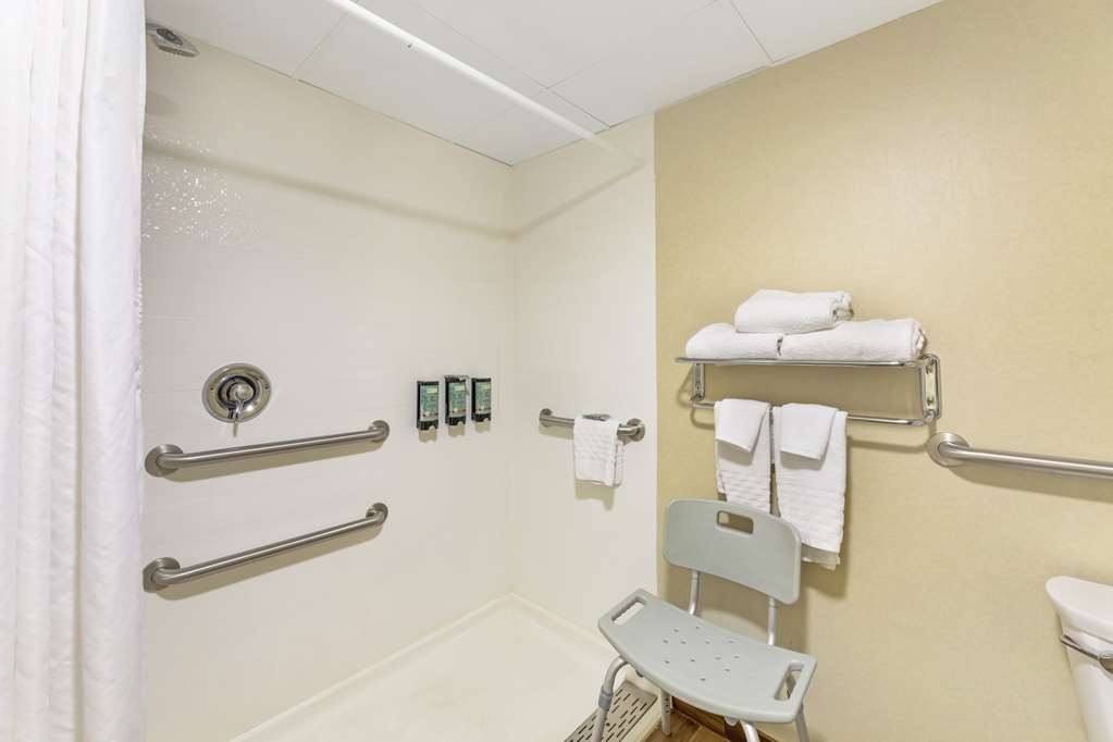 Best Western Rochester Marketplace Inn - photo 23