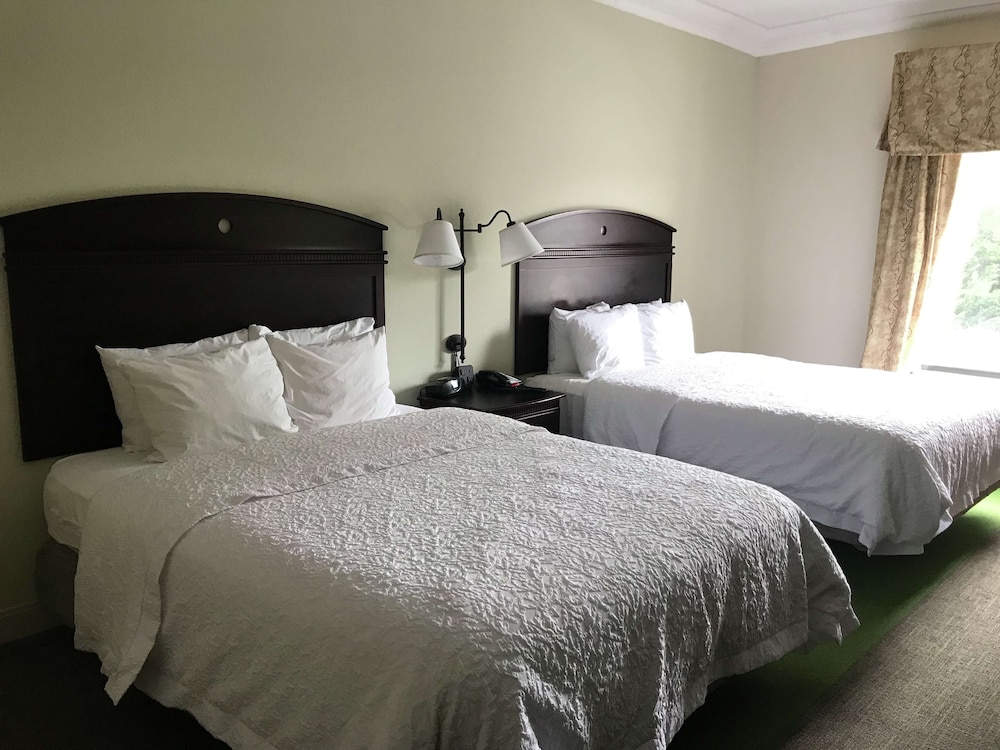 Hampton Inn Vidalia - photo 6