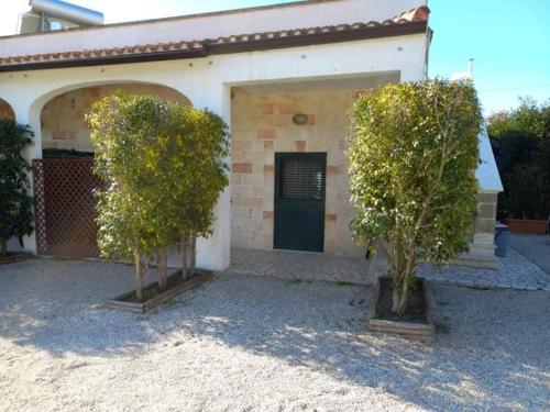 Appartamento Porto Cesareo in Porto Cesareo, Italy