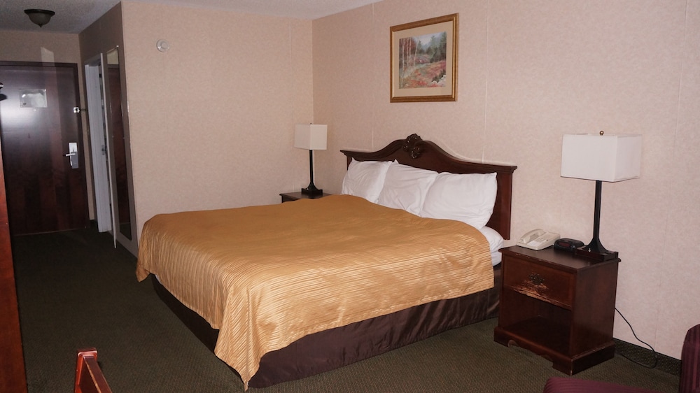 Scotland Neck Inn - photo 7