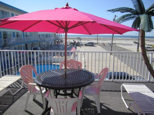 Apollo Resort Motel - photo 60