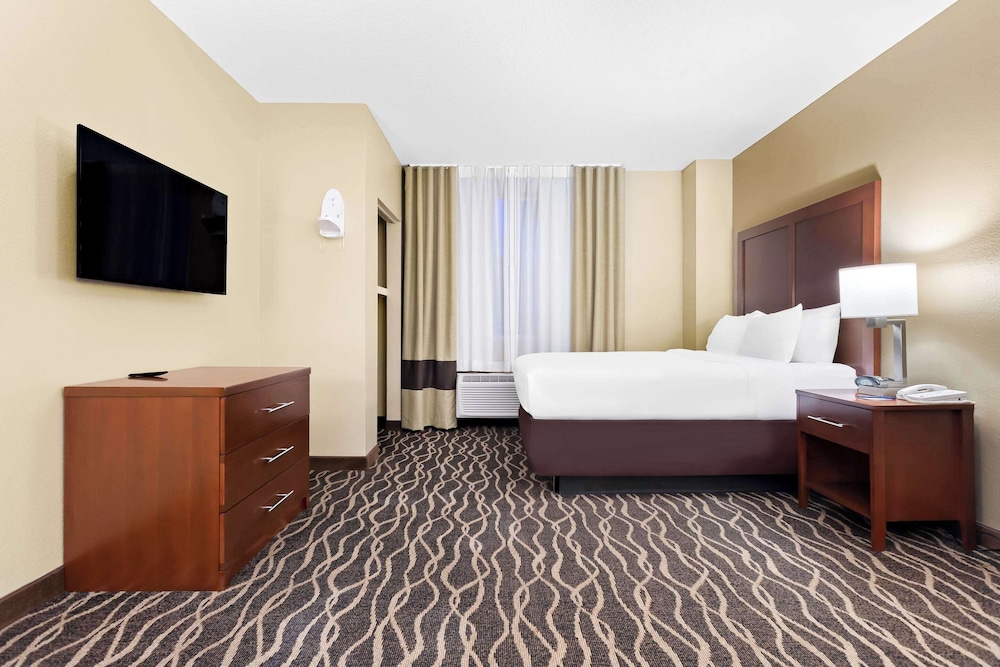 Comfort Suites Tampa Airport North - photo 6