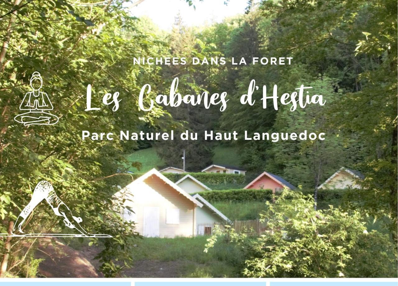 Les Cabanes d'Hestia — hotel in La Salvetat-Saint-Gilles