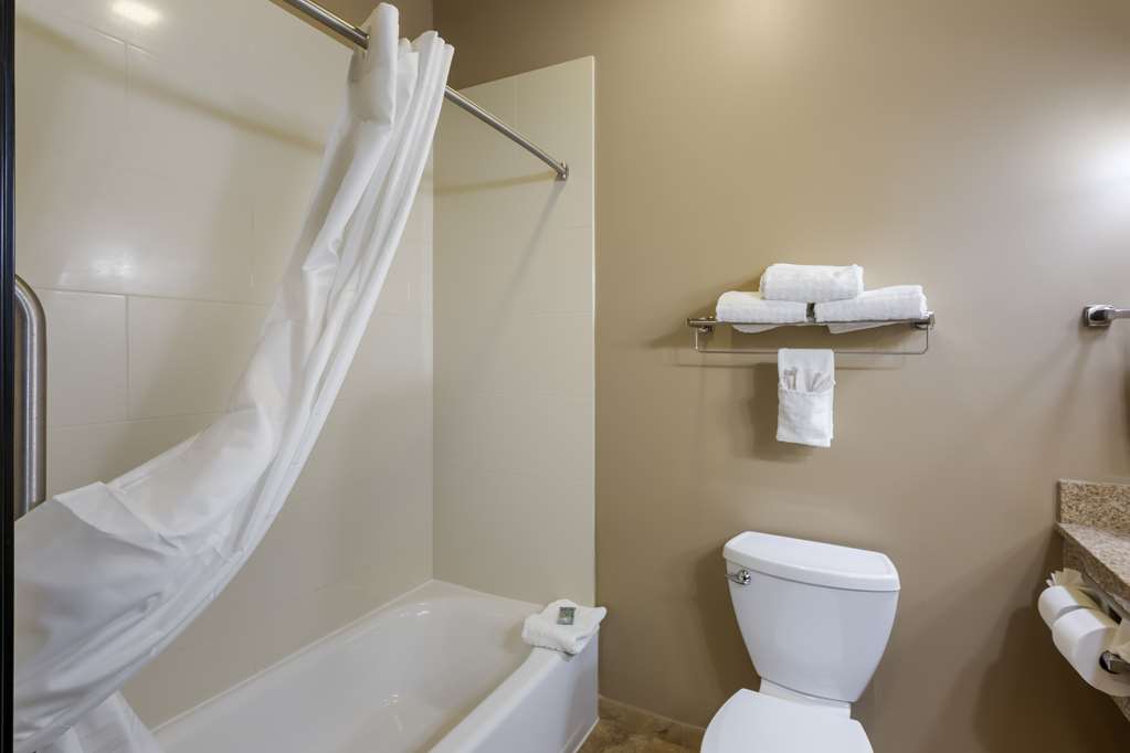 Best Western Golden Prairie Inn & Suites - photo 29