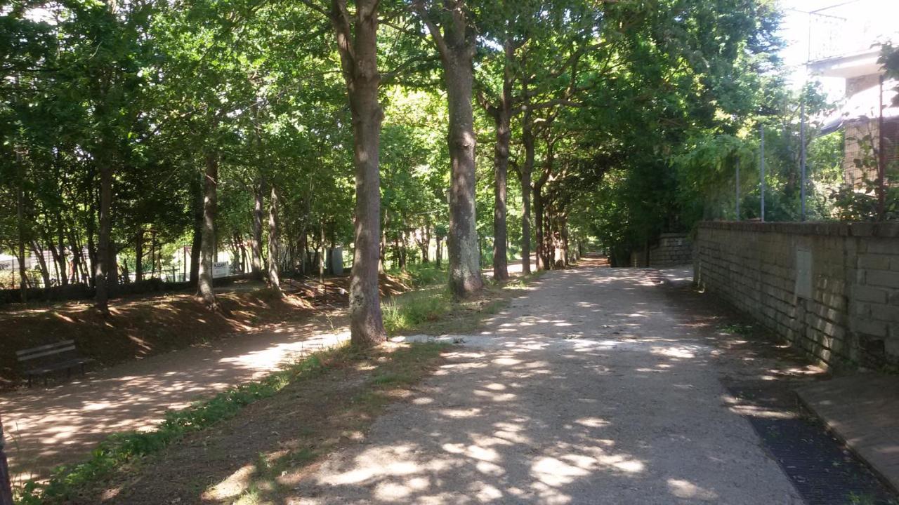 Alloggio Turistico Olmata — Canale Monterano