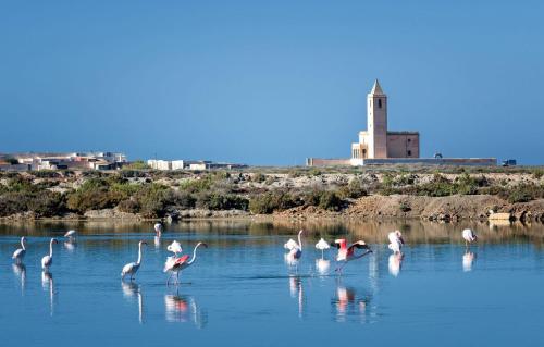 Cabo Beach Paradise in Unknown City, Spain