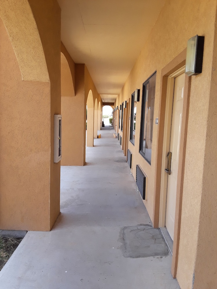 Sunbridge Inn & Suites - photo 20