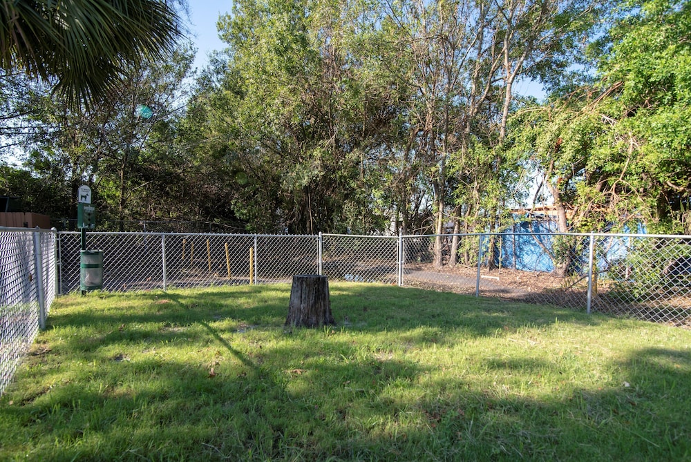 Red Roof Inn Tampa Bay St Petersburg - photo 32