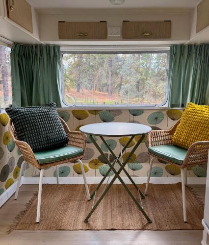 Castlemaine Gardens Vintage 60's Caravan — hotel in Castlemaine
