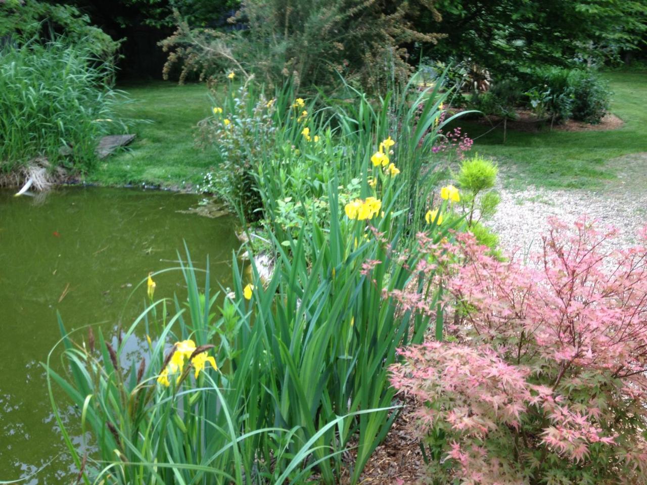Domaine de Sahil — hotel in Saint-Romain-Sur-Cher