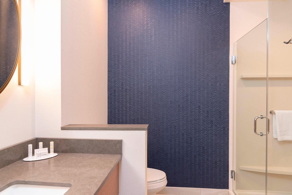 Fairfield Inn & Suites by Marriott Fair Oaks Farms - photo 39